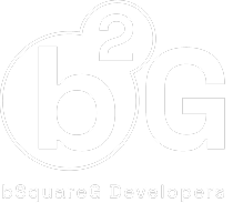 bsquareg Developers